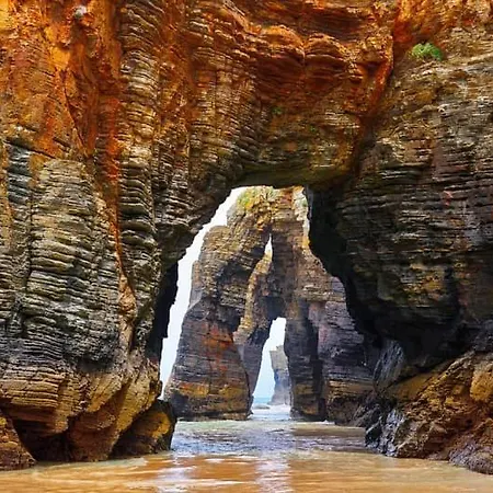 Enfoz Playa Piscina Y Parking דירה